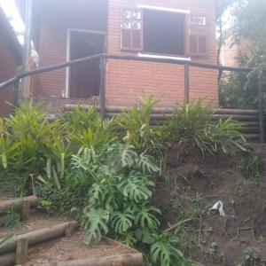 a house with a bunch of plants in front of it at O Chalé de Rita in Lima Duarte