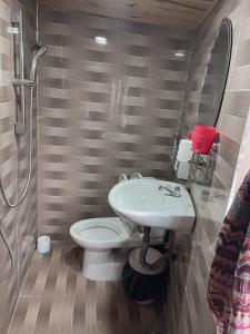 ein Bad mit einem Waschbecken, einem WC und einer Dusche in der Unterkunft EUDORA HOUSE 2 in Da Thien