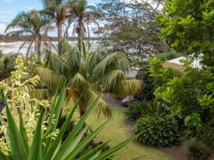 a garden with palm trees and plants and a beach at The Old Bottleshop in Currarong