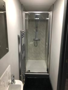 a bathroom with a shower and a toilet and a sink at Room in House - Private En-suite Room In Town, Close To Hospital in King's Lynn