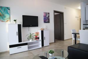 TV a/nebo společenská místnost v ubytování Apartment Vesna Toplice Sveti Martin