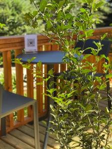 Galeriebild der Unterkunft Terra Volcán in Victoria