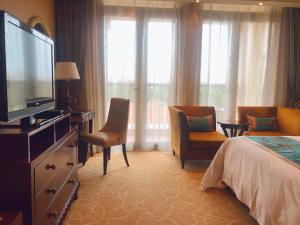 TV a/nebo společenská místnost v ubytování Shanghai Fenyang Garden Boutique Hotel