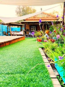 En hage utenfor Libi Bamidbar, Healing & Relaxation Resort in The Dead Sea