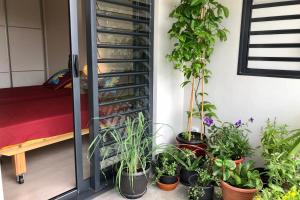 a room with plants in pots next to a wall at Alicia's Sky flat on the heights with nice view on the sea and Papeete in Papeete