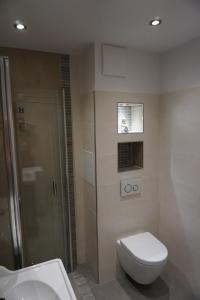 ein Bad mit einem WC, einer Dusche und einem Waschbecken in der Unterkunft MeerZeit-Sellin in Ostseebad Sellin