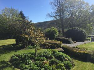 a garden with bushes and trees and a pathway at Cleveliot House in Starbotton