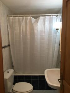 y baño con cortina de ducha blanca y aseo. en Apartamentos Turísticos Río Gállego (VUT EL CANFRANERO), en Canfranc