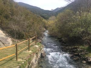une rivière au milieu d'une vallée dans l'établissement Apartamentos Turísticos Río Gállego (VUT EL CANFRANERO), à Canfranc