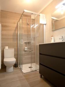 uma casa de banho com um WC e uma cabina de duche em vidro. em Apartamento Subida Las Torres em Albarracín