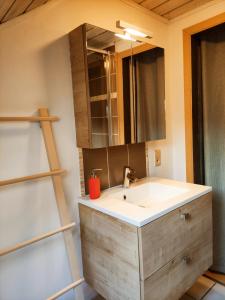 a bathroom with a sink and a mirror at Lacs de l'eau d'heure Chez Oma in Cerfontaine