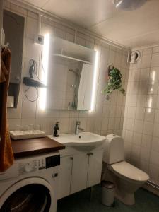 ウッラレッドにあるGällared 710 - Bed & Kitchenのバスルーム(洗面台、トイレ、洗濯機付)