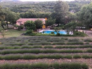 un champ de cultures devant une maison dans l'établissement Hôtel Lou Caleù restaurant le Rocher des Abeilles, à Saint-Martin-de-Castillon