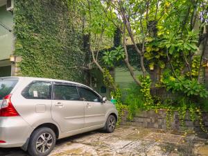 Zahrada ubytování Rhiz Guest House Tebet