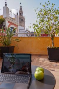 Ogród w obiekcie U-Sense Sevilla Centro