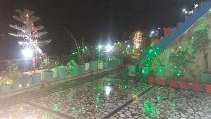 a group of plants on a wall at night at Vamoose Suri Rudraprayag in Badrīnāth