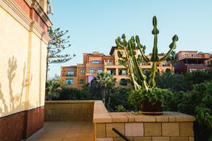 a cactus in a planter in front of a building at Europe Villa Cortes GL in Playa de las Americas