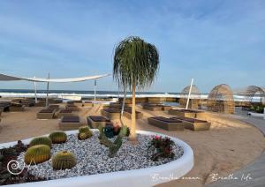 a park with benches and cacti and a palm tree at Europe Villa Cortes GL in Playa de las Americas