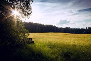 Paesaggio naturale nelle vicinanze dell'appartamento