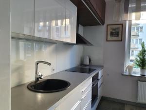 a kitchen with a sink and a counter top at Apartament Gdynia Świętojańska in Gdynia