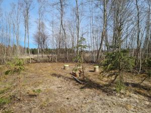 Fotografie z fotogalerie ubytování Paide Homestay v destinaci Kriilevälja
