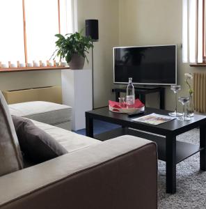 a living room with a couch and a table with a tv at RhönZeit Apartements und Zimmer in Hilders