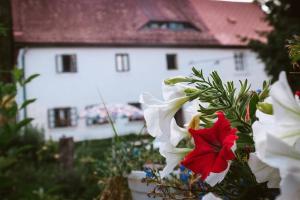 Zahrada ubytování ENJOY Cozy HOME Hills & Forest & Views & Gardens & Sauna Whirlpool Bath