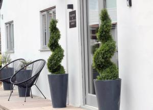 two black pots with plants in them in front of a window at Pen-Y-Worlod Cottages in Abergavenny