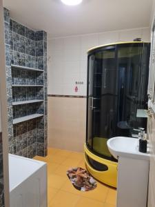 Bilik mandi di Birutės apartamentai +5 gambar