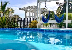 a swimming pool with a hammock in a house at The Novelo in Caye Caulker