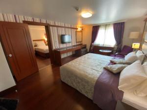 a hotel room with a large bed and a television at Dareyn Hotel in Istanbul