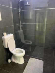 Kúpeľňa v ubytovaní Filkes Rezidence