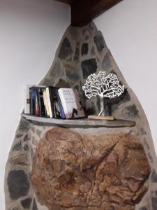 a rock shelf with a tree and books on it at Casa Marcelo in Proaza