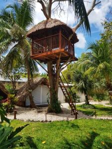 une cabane dans les arbres avec une terrasse sur un palmier dans l'établissement El Búho Bacalar Eco-Cabañas Hostal, à Bacalar