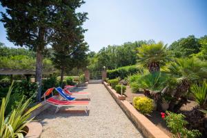een rij ligstoelen in de tuin bij Villa le Palme in Capoliveri
