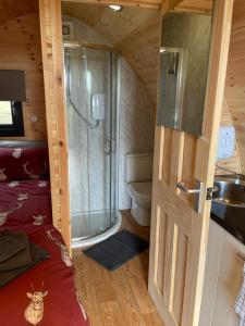 a bathroom with a shower and a toilet in a room at North Point Pods NC500 in Thurso