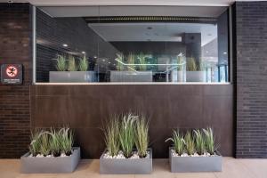 Ο χώρος του λόμπι ή της ρεσεψιόν στο Apartament Sedina D211 Nadmorskie Tarasy +32 φωτογραφίες