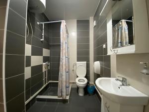 La salle de bains est pourvue de toilettes et d'un lavabo. dans l'établissement Hotel Zeleni Vir, à Niš