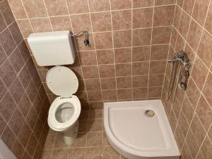 a small bathroom with a toilet and a sink at Vila ViV Srebrno Jezero in Veliko Gradište