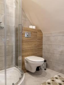 a bathroom with a toilet and a shower at Apartamenty Pod Lipą in Lutowiska