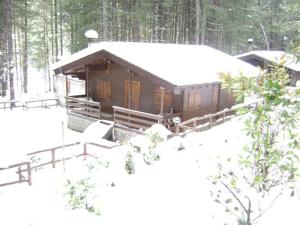 Chalet del bosco during the winter