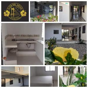 Puerto CaldasにあるHostal Flor del Ariariの流し家写真集