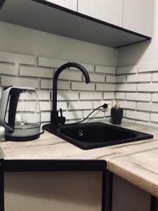 Kuchyň nebo kuchyňský kout v ubytování Iren Smart Apartment