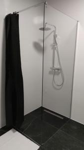 uma casa de banho com um chuveiro e uma porta de vidro em Hotel ANTARES em Sępólno Krajeńskie