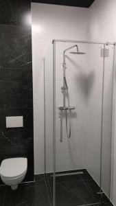 Kúpeľňa v ubytovaní Hotel ANTARES