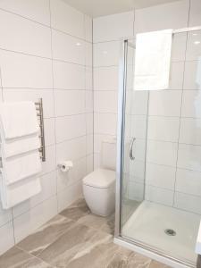 W łazience znajduje się toaleta i przeszklony prysznic. w obiekcie The Edgerley Suites w Auckland