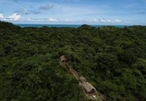 eine Luftansicht eines Dschungels mit einem Gebäude in den Bäumen in der Unterkunft Mirador Dentro del Parque Tayrona in El Zaino
