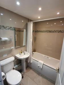a bathroom with a toilet and a sink and a tub at Tyn Rhos Country House in Caernarfon +87 photos