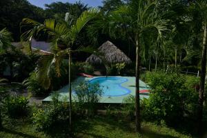 Villasjungle 3 veya yakınında bir havuz manzarası