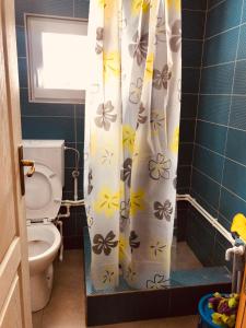 a bathroom with a toilet and a shower curtain at Cottage Uskoci in Žabljak +45 photos